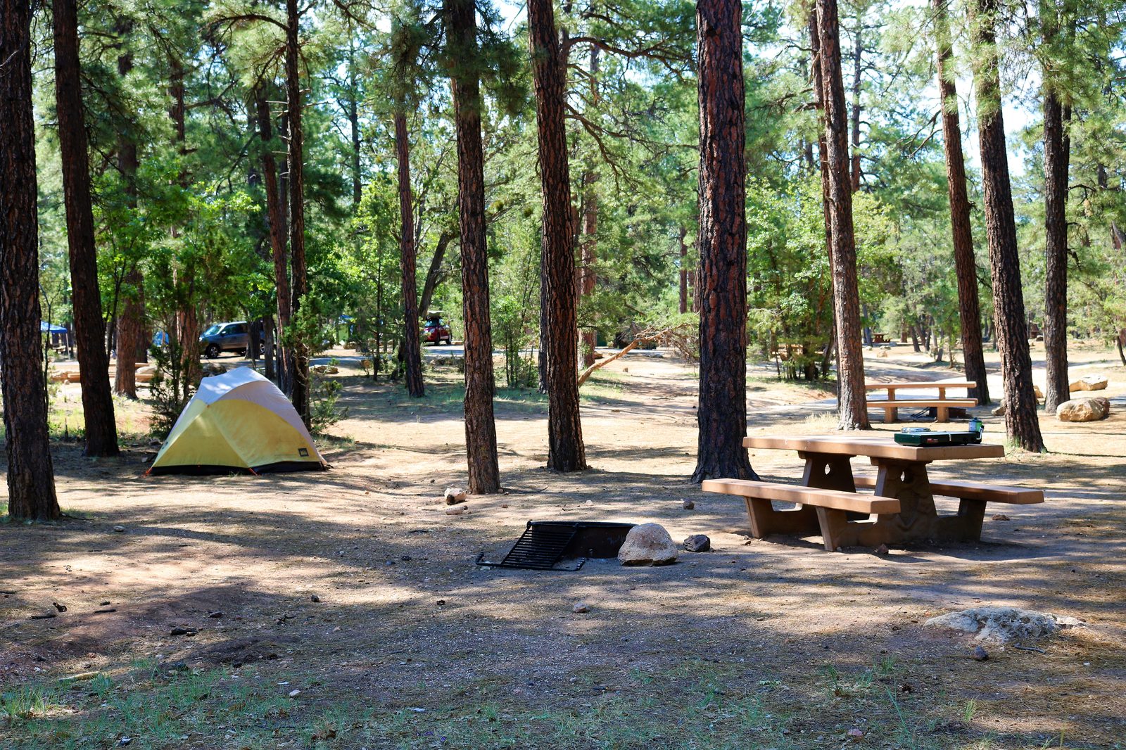 A tent site among the pines at Mather Campground, Grand Canyon National Park